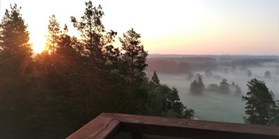 Iespēja sagaidīt saullēktu kopā ar ornitologiem, putnu gredzenošana