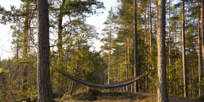 Brokastis dabā ar putnu dziesmām un mazgāšanos rasā