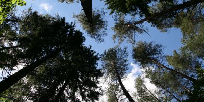 Dalībnieku sagaidīšana un reģistrācija, izdales materiālu saņemšana, iepazīšanās