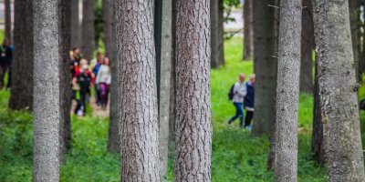 Labās prakses darbnīcas dabā ar aktīvām un praktiskām mācību nodarbībām